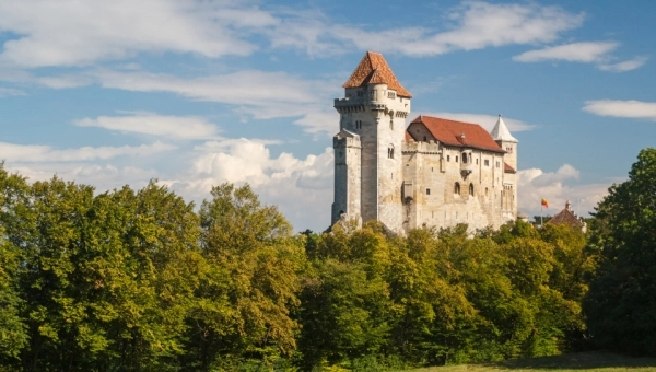 Венский лес